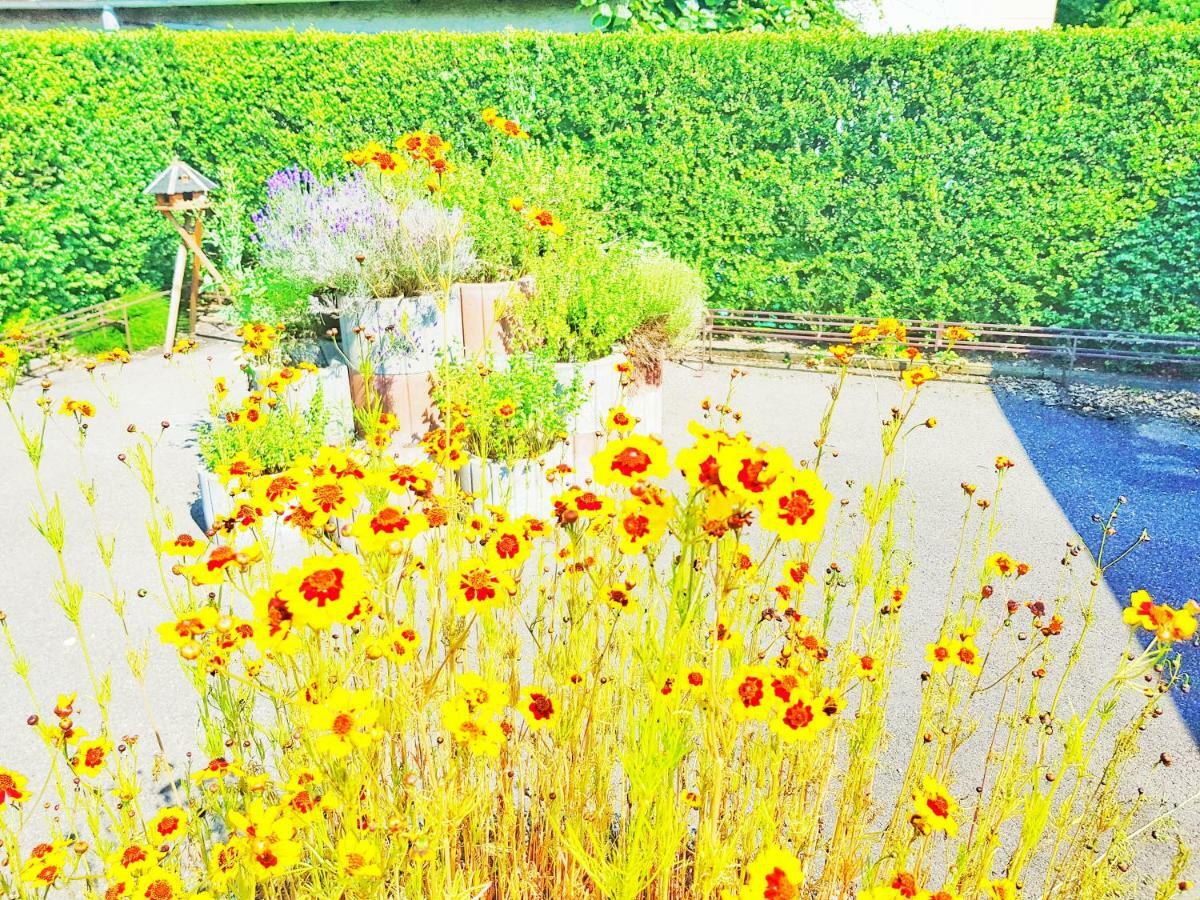 Hotel Sonne Friedrichshafen Exteriör bild